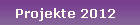 Projekte 2012